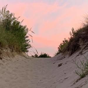 Meet your Posher, Alison